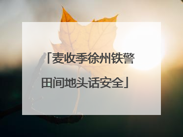 麦收季徐州铁警田间地头话安全