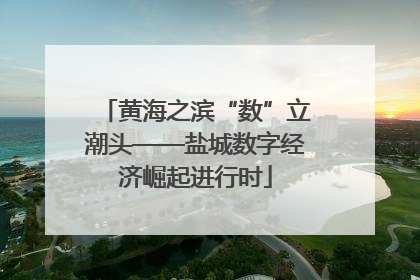 黄海之滨“数”立潮头——盐城数字经济崛起进行时