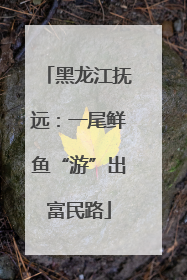 黑龙江抚远：一尾鲜鱼“游”出富民路
