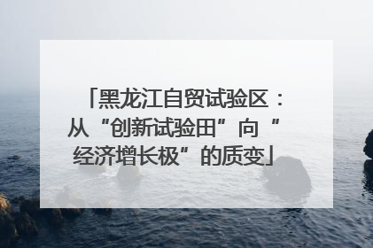 黑龙江自贸试验区：从“创新试验田”向“经济增长极”的质变