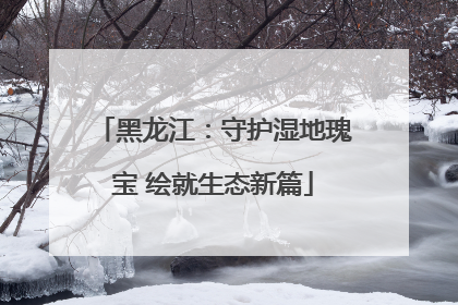 黑龙江：守护湿地瑰宝 绘就生态新篇