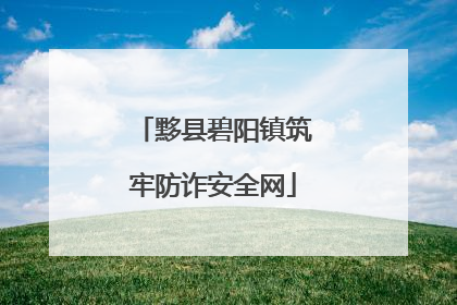 黟县碧阳镇筑牢防诈安全网