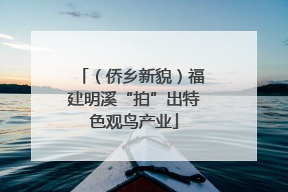 （侨乡新貌）福建明溪“拍”出特色观鸟产业