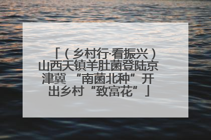 （乡村行·看振兴）山西天镇羊肚菌登陆京津冀 “南菌北种”开出乡村“致富花”