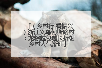 （乡村行·看振兴）浙江义乌何斯路村：龙粽越包越长折射乡村人气渐旺
