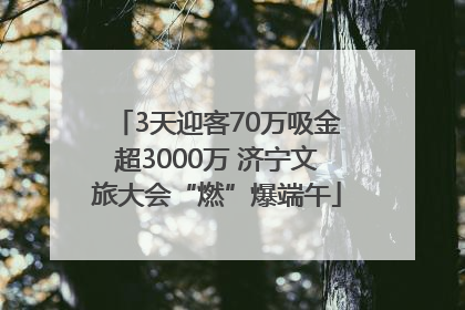 3天迎客70万吸金超3000万 济宁文旅大会“燃”爆端午