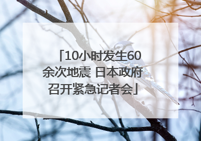 10小时发生60余次地震 日本政府召开紧急记者会