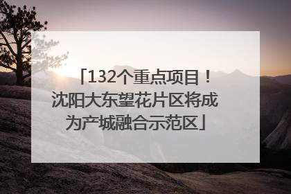132个重点项目！沈阳大东望花片区将成为产城融合示范区