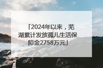 2024年以来，芜湖累计发放孤儿生活保障金2758万元
