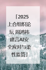 2025上合组织论坛 周鸿祎建言AI安全应对与柔性监管
