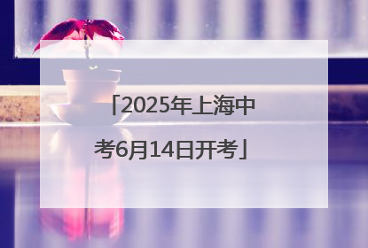 2025年上海中考6月14日开考