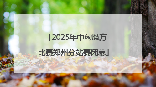 2025年中匈魔方比赛郑州分站赛闭幕