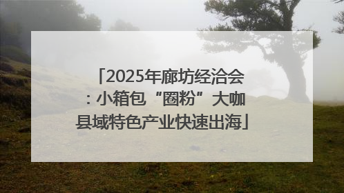 2025年廊坊经洽会：小箱包“圈粉”大咖 县域特色产业快速出海