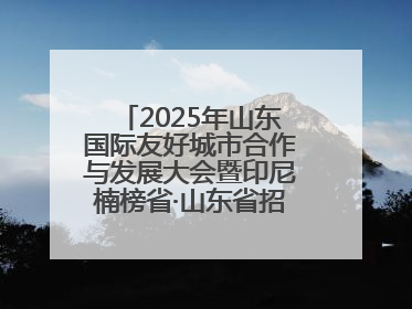 2025年山东国际友好城市合作与发展大会暨印尼楠榜省·山东省招商交流会在济南槐荫举行