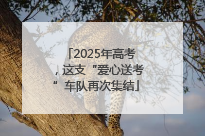 2025年高考，这支“爱心送考”车队再次集结