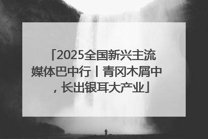 2025全国新兴主流媒体巴中行丨青冈木屑中，长出银耳大产业