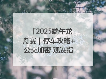 2025端午龙舟赛｜停车攻略+公交加密 观赛指南来了！