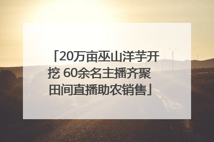 20万亩巫山洋芋开挖 60余名主播齐聚田间直播助农销售