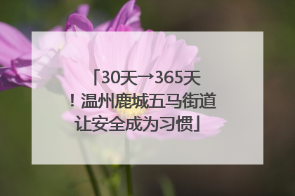 30天→365天！温州鹿城五马街道让安全成为习惯