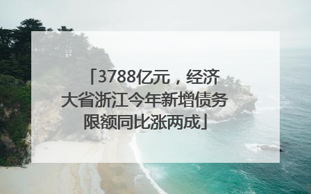 3788亿元，经济大省浙江今年新增债务限额同比涨两成
