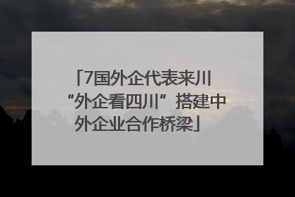 7国外企代表来川 “外企看四川”搭建中外企业合作桥梁