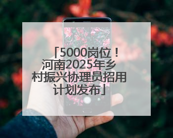 5000岗位！河南2025年乡村振兴协理员招用计划发布