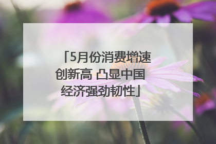 5月份消费增速创新高 凸显中国经济强劲韧性