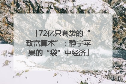 72亿只套袋的“致富算术”：静宁苹果的“袋”中经济