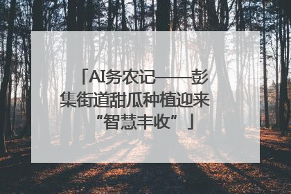 AI务农记——彭集街道甜瓜种植迎来“智慧丰收”
