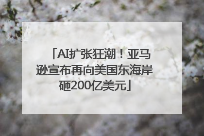 AI扩张狂潮！亚马逊宣布再向美国东海岸砸200亿美元