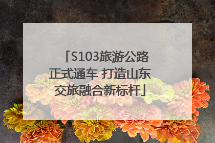 S103旅游公路正式通车 打造山东交旅融合新标杆